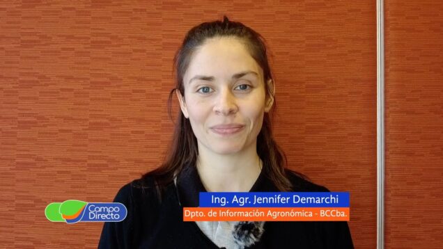 Campo Directo | Análisis Agrometeorológico de la BCCBA 26-07-2024