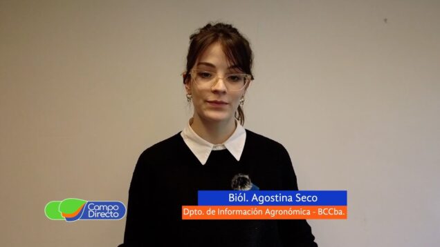 Campo Directo | Análisis Agrometeorológico de la BCCBA 05 07 2024