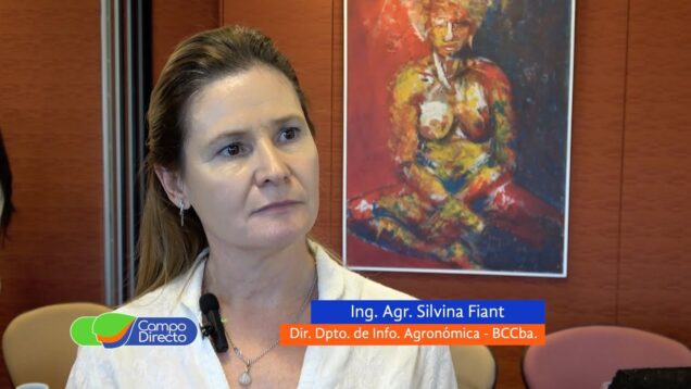 Campo Directo | Lo que el Spiroplasma nos dejó