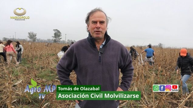 Agro MP Programa 805