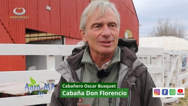 Agro MP Programa 807