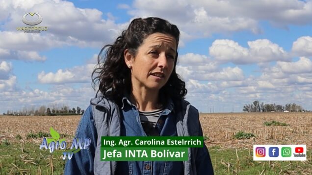 Agro MP Programa 808