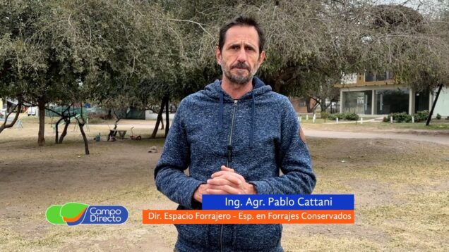 Campo Directo | El sorgo como opción en la nueva campaña