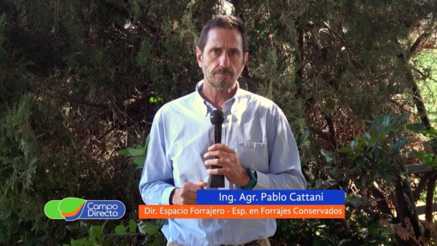 Campo Directo | Los cultivos de servicio también son excelentes forrajes