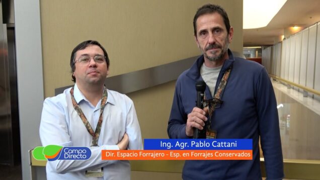 Campo Directo | Los números del picado de forrajes en Argentina