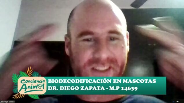 Conciencia Animal | Biodecodificación en Mascotas – Dr. Diego Zapata
