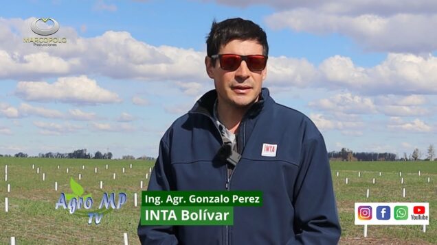 Agro MP Programa 809