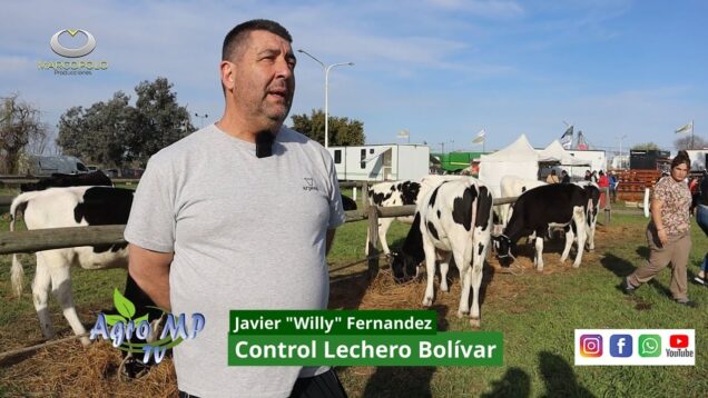 Agro MP Programa 812