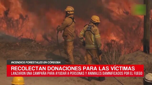C20 Noticias | Incendios forestales en Córdoba – Carolina Espina