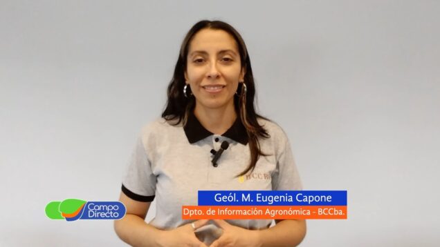 Campo Directo | Análisis Agrometeorológico de la BCCBA 13-09-2024