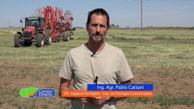 Campo Directo | Claves para planificar la próxima campaña forrajera