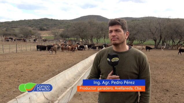 Campo Directo | La yerra, una tradición campera ciento por ciento