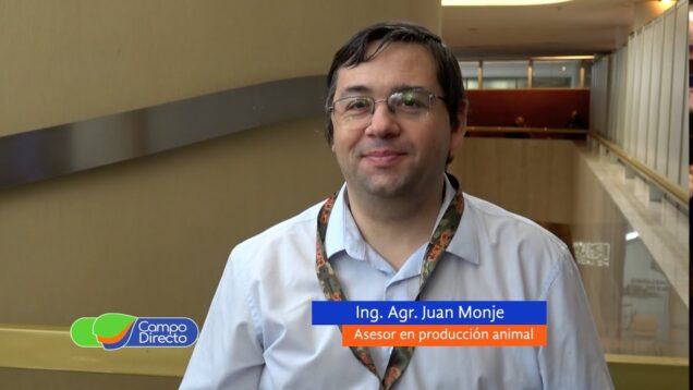 Campo Directo | Por la chicharrita muchos productores se pasan al sorgo