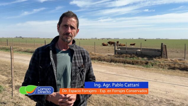 Campo Directo | Toma de decisiones para comenzar la temporada de cosecha