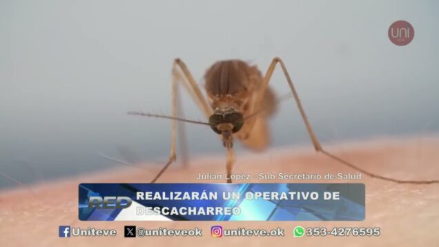 Uniteve Noticias | Realizarán un operativo de descacharreo