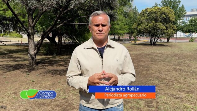 Campo Directo | Las exportaciones de carne en agosto fueron las más altas en cuatro años