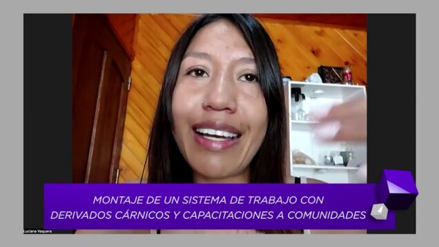 Uniteve Noticias | Graduada de la UNVM propone industrializar la carne de llama