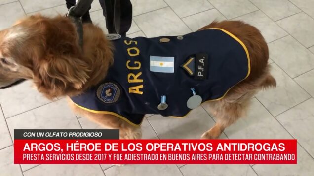 C20 Noticias | Con un olfato prodigioso – Federico Chanquía