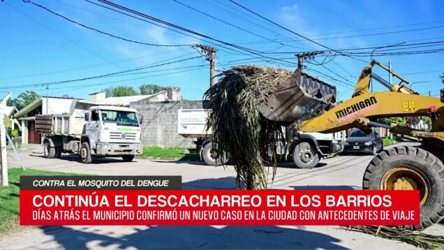 C20 Noticias | Contra el mosquito del dengue – Agustín Turletti Mino