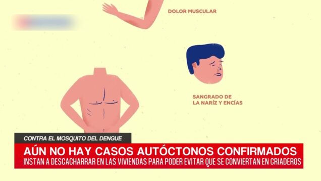 C20 Noticias | Contra el mosquito del dengue – Darío Quinodoz