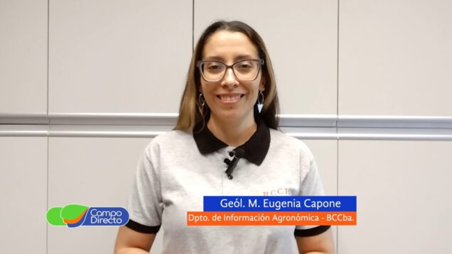 Campo Directo | Análisis Agrometeorológico de la BCCBA 15-11-2024