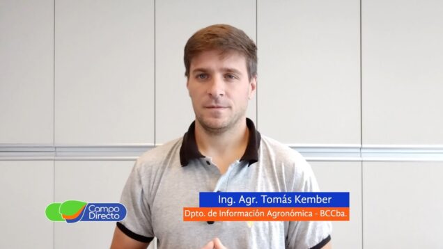 Campo Directo | Análisis Agrometeorológico de la BCCBA 22-11-2024