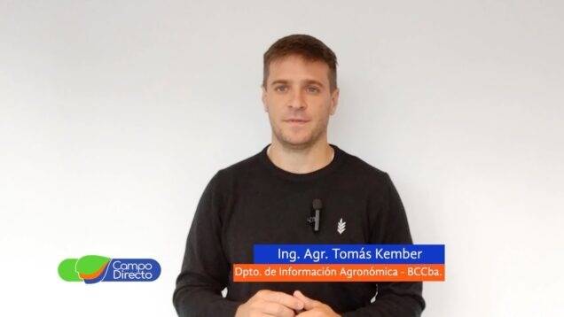 Campo Directo | Análisis Agrometeorológico de la BCCBA 29-11-2024
