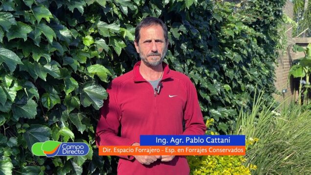 Campo Directo | Con la alfalfa, también luz alta