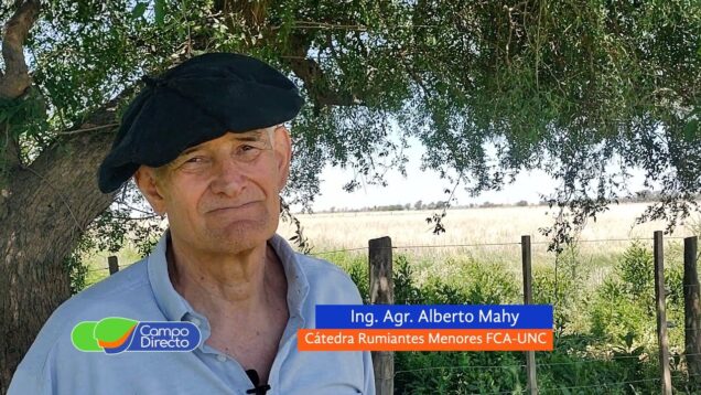 Campo Directo | Esquila Tally Hi para cuidar a los animales