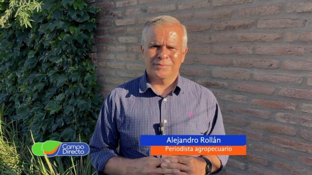 Campo Directo | Las exportaciones mensuales de carne vacuna en los volúmenes más altos en 4 años