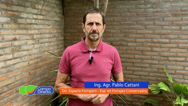 Campo Directo | Ni bien ni mal, tecnologías y procesos en forrajes
