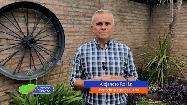 Campo Directo | ¿Qué puede pasar con los precios de trigo, soja y maíz?