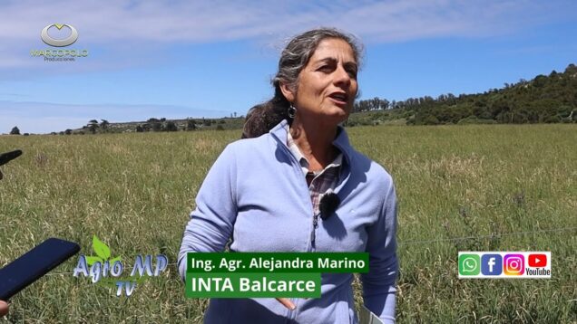 Agro MP Programa 822