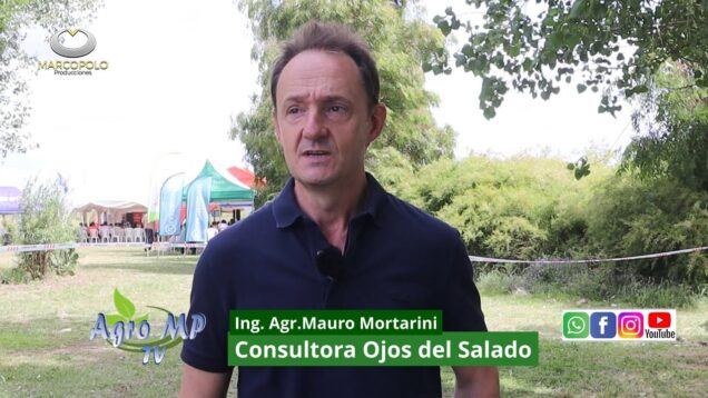 Agro MP Programa 825