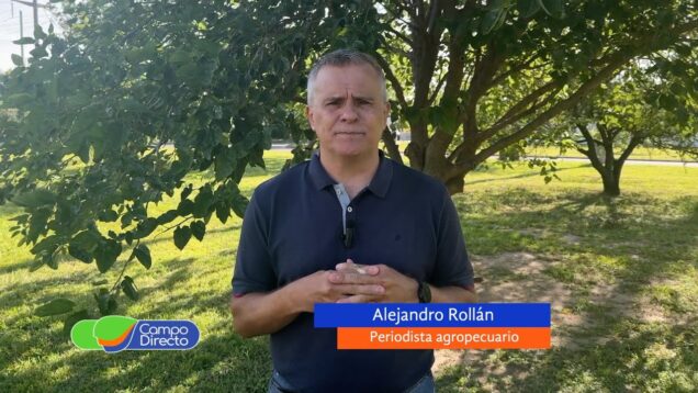 Campo Directo | Hacia fin de año, la carne actualiza su precio y mejora los márgenes