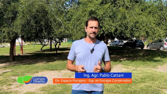 Campo Directo | Medir es la clave de la mejora