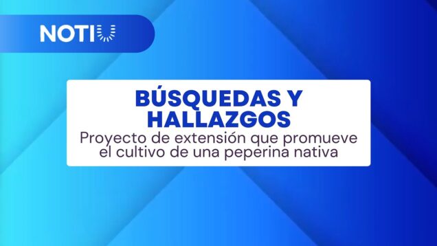 Uniteve Noticias | Proyecto de extensión que promueve el cultivo de una peperina nativa
