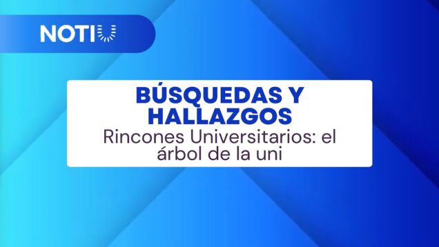Uniteve Noticias | Rincones Universitarios: el árbol de la uni