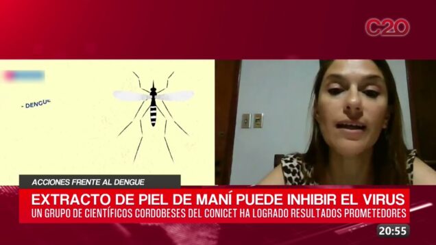 C20 Noticias | Acciones frente al dengue – Carola Sabini