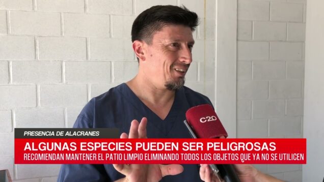 C20 Noticias | Presencia de alacranes – Gabriel Giménez