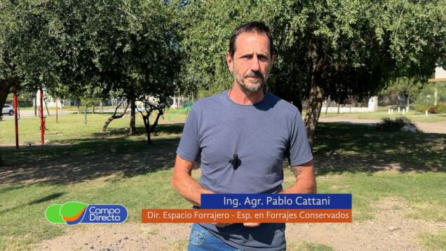 Campo Directo | Embolsamos alfalfa, qué vamos a tener en cuenta