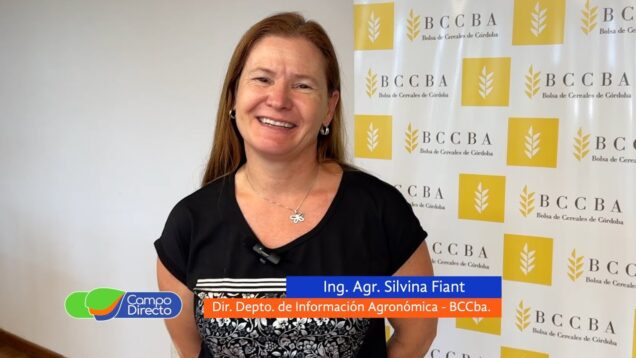 Campo Directo | Cómo afectaron al maíz la falta de lluvias y las altas temperaturas