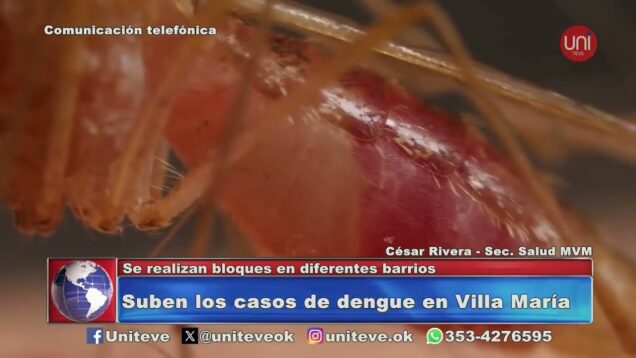 Uniteve Noticias | Aumentan los casos de dengue en la ciudad: más de 20 casos nuevos