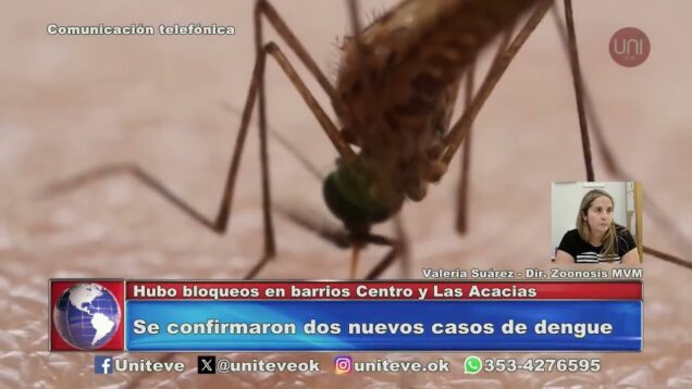 Uniteve Noticias | Se confirmaron dos nuevos casos de dengue en la ciudad