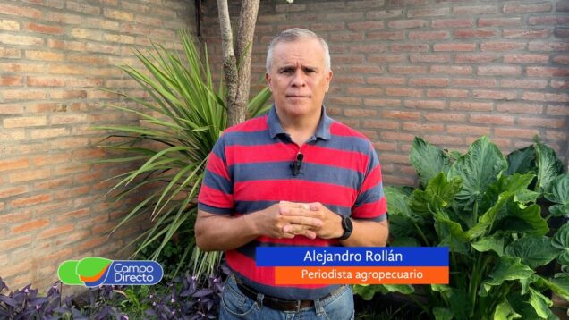 Campo Directo | El Gobierno eliminó la prohibición de exportar hacienda en pie para faena