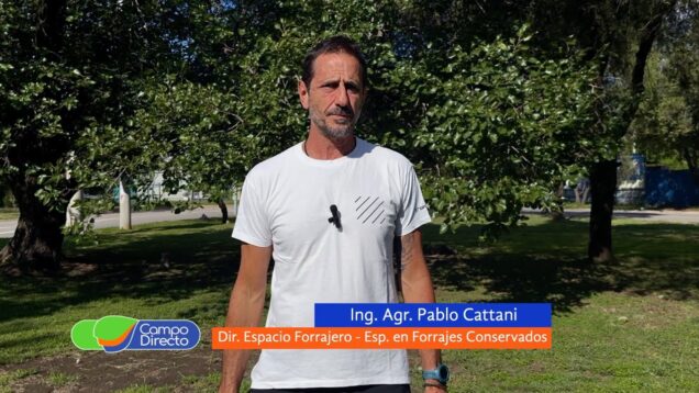 Campo Directo | Grano húmedo para máxima energía