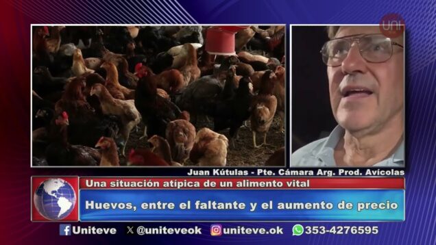 Uniteve Noticias | Los huevos aumentaron un 15 por ciento en la última semana