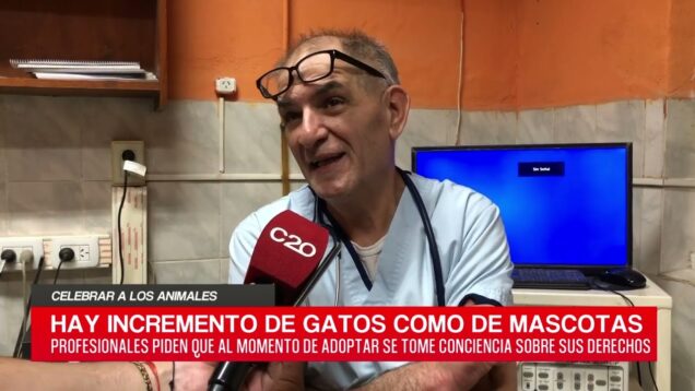 C20 Noticias | Celebrar a los animales – Luis Ocampo