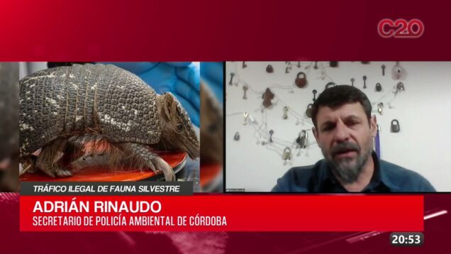 C20 Noticias | Tráfico ilegal de fauna silvestre – Adrián Rinaudo