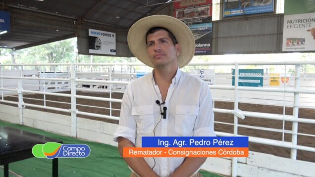 Campo Directo | Decimotercer Remate Aniversario de Consignaciones Córdoba